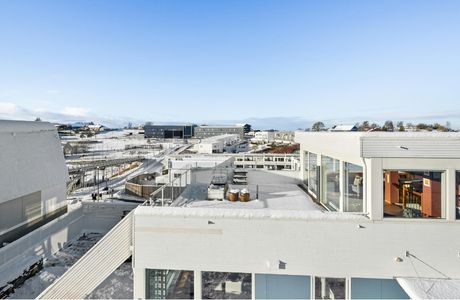 Commercial Roofing